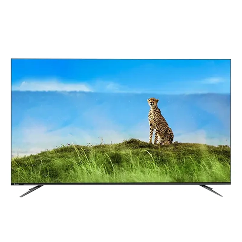 تلویزیون اسنوا